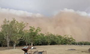 Menacing Dust Storm Sweeps over Town