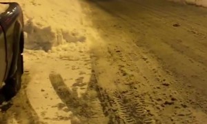 Moose out for a Late Night Trot