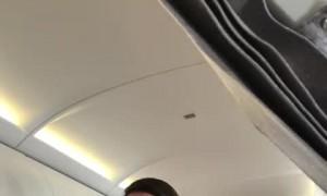 Proposal on a Plane