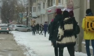 Elephant Walks Where it Wants