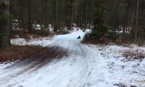 Playful Dog Sleds down Driveway