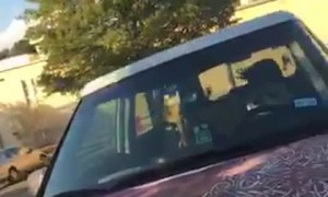 Teacher Lets Kids Use Her Car for a Canvas