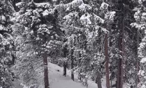 Man Melds Skiing and Babysitting