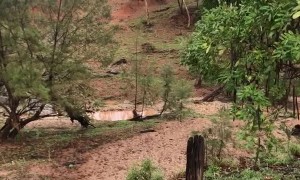 From Dry River Bed to Raging Torrent in Minutes