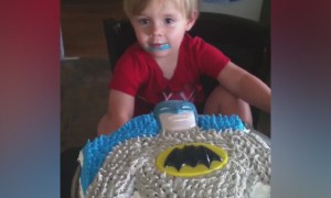 Hilarious Kids Reactions