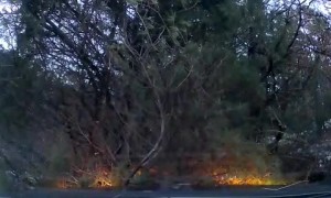 Car Merges into Wrong Lane and Causes Spin-Out