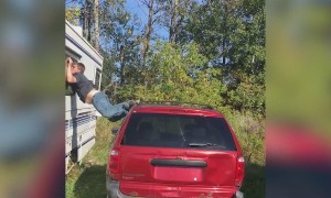 Can't Have Nice Things