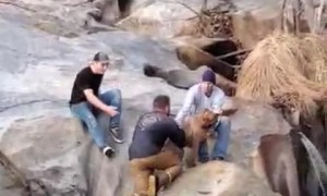 Man Rescues His Dog from Frigid Waterfall