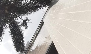 Phone Falls From Tenth Floor and Still Runs Flawlessly