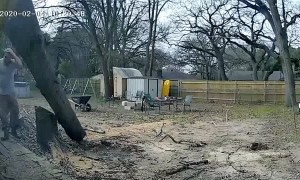 Tree Falls on House in Felling Fail
