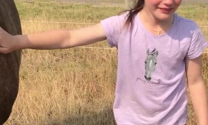 Girl Sheds Tears of Joy over Her Horse