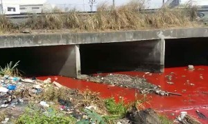 River Runs Red in the Philippines