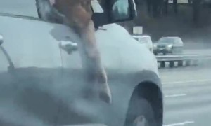 Doggo in Goggles Enjoys the Breeze