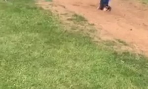 Long Jump Goes Face First