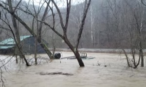 Man Saves Horses from Flooded River