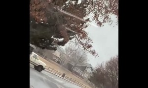 Slippery Corner Dupes Drivers