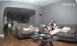 Excited Doggo Causes Household Mayhem