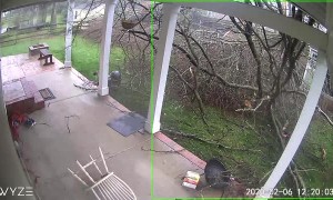 Storm Smashes Back Porch With a Tree