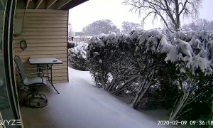 Time-Lapse Shows Snow Covering Garden Overnight