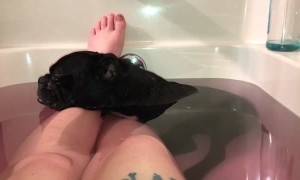 Sleeping Dog Snores During Bath