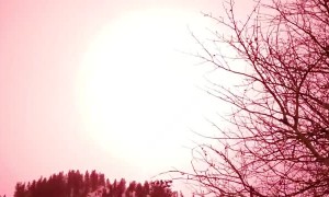 Massive Firework in the Mountains