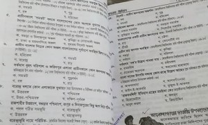 Kitty Makes for a Distracted Study Buddy