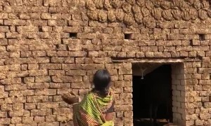 Woman has Incredible Aim with Dried Dung