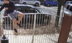 Owner Unable to Control Upset Animal