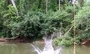 Double Backflip off a Rope Swing