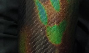 Tumbler that Changes Color Based on Temperature