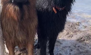 Best Friends Take Picture at the Beach