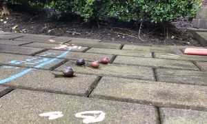 A Snail Race over Time-Lapse