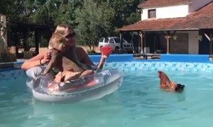 Swimming Chicken Photobombs Shoot