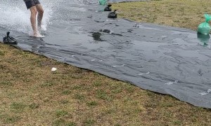 Excavator Slip-N-Slide in Australia
