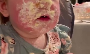Baby Doesn't Need Utensils to Eat Cake
