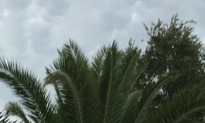 Mesmerizing Mammatocumulus Cloud Formation Fills Sky
