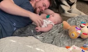 Jealous Doggo Wants All the Scratches