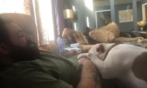 Doggo Decides Where It Wants to Sit