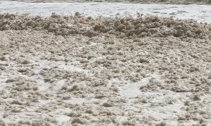 Fully Surrounded by Sea Foam