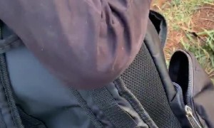 Man Slips Fish into Boot to Surprise Nephew