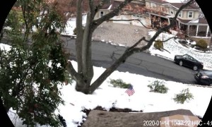 Package Thief Caught Stealing Box