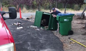 Heroic firefighter releases bear cubs trapped inside a dumpster
