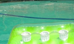 Dog Floating the Day Away