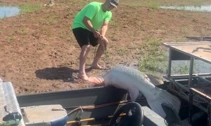 Fishermen Catch Massive Alligator Gar