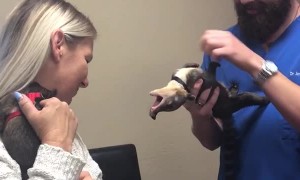 Kudamundi has a Word With Animal Chiropractor