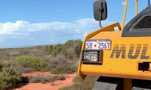 Infestation of Flies Get in Workers Way