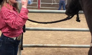 Girls Shares Water with Her Horse for Good Luck