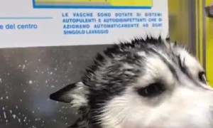 smiles during bath ❤️ Info: we actually give him a bath once every 2 months