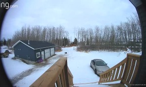 School Bus Waits For Slipping and Sliding Student
