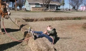 Horse Training Hay Bail Fail